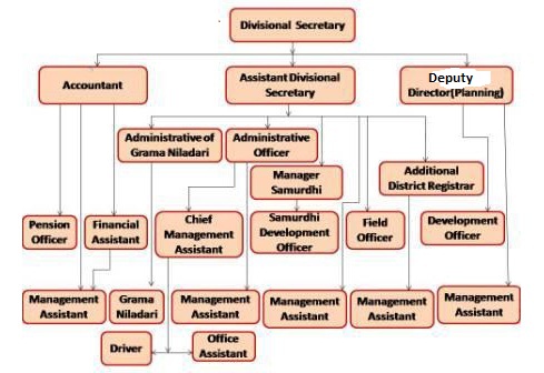 org chart